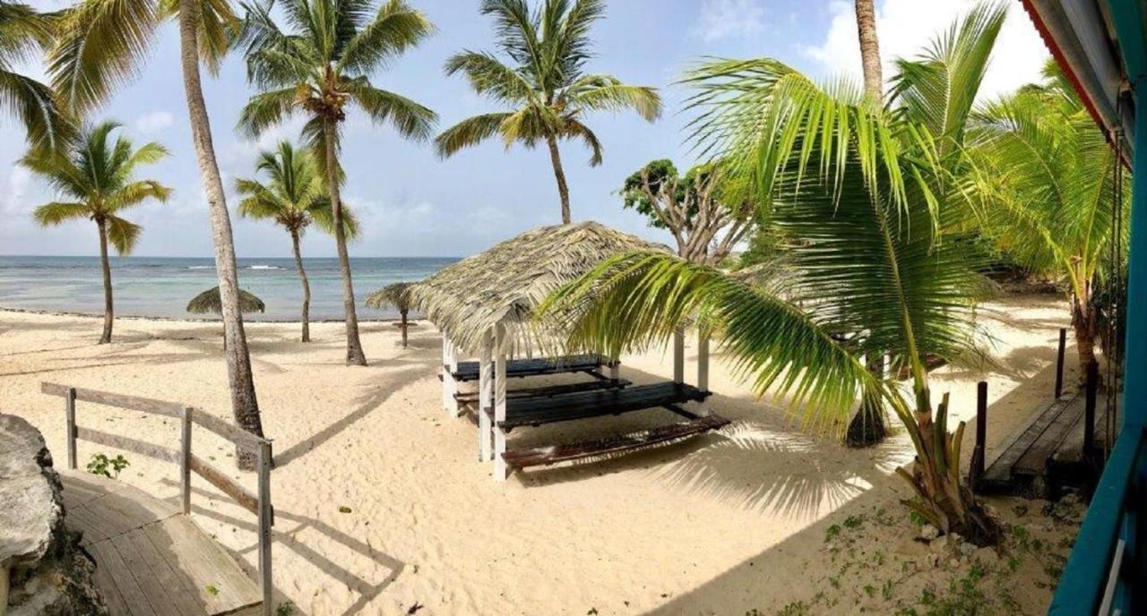 Studio Mojito Vue Mer,Piscine Avec Cuve Eau Et Acces Plage Et Piscine Anse Des Rochers Saint-Francois  Exteriör bild