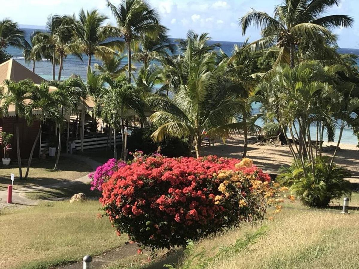 Studio Mojito Vue Mer,Piscine Avec Cuve Eau Et Acces Plage Et Piscine Anse Des Rochers Saint-Francois  Exteriör bild