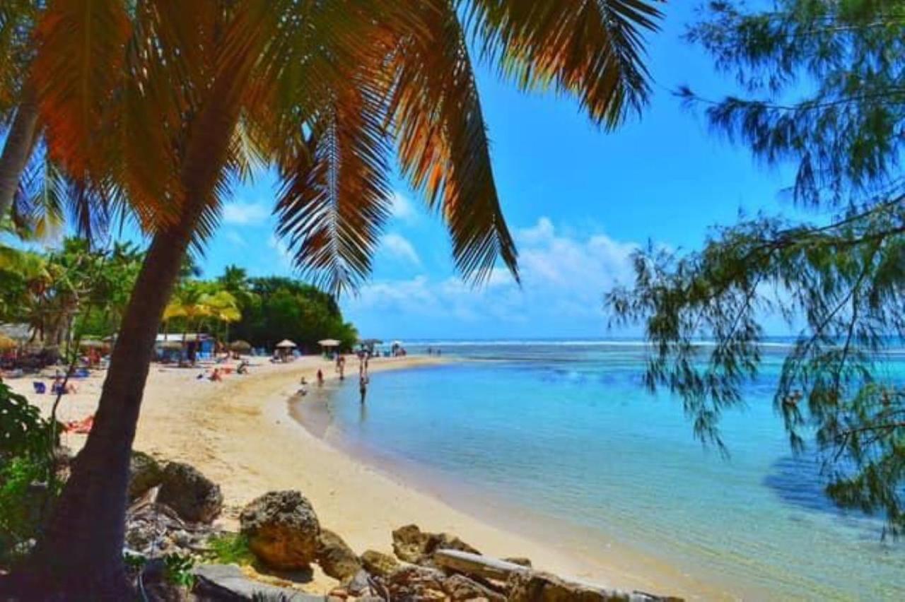 Studio Mojito Vue Mer,Piscine Avec Cuve Eau Et Acces Plage Et Piscine Anse Des Rochers Saint-Francois  Exteriör bild