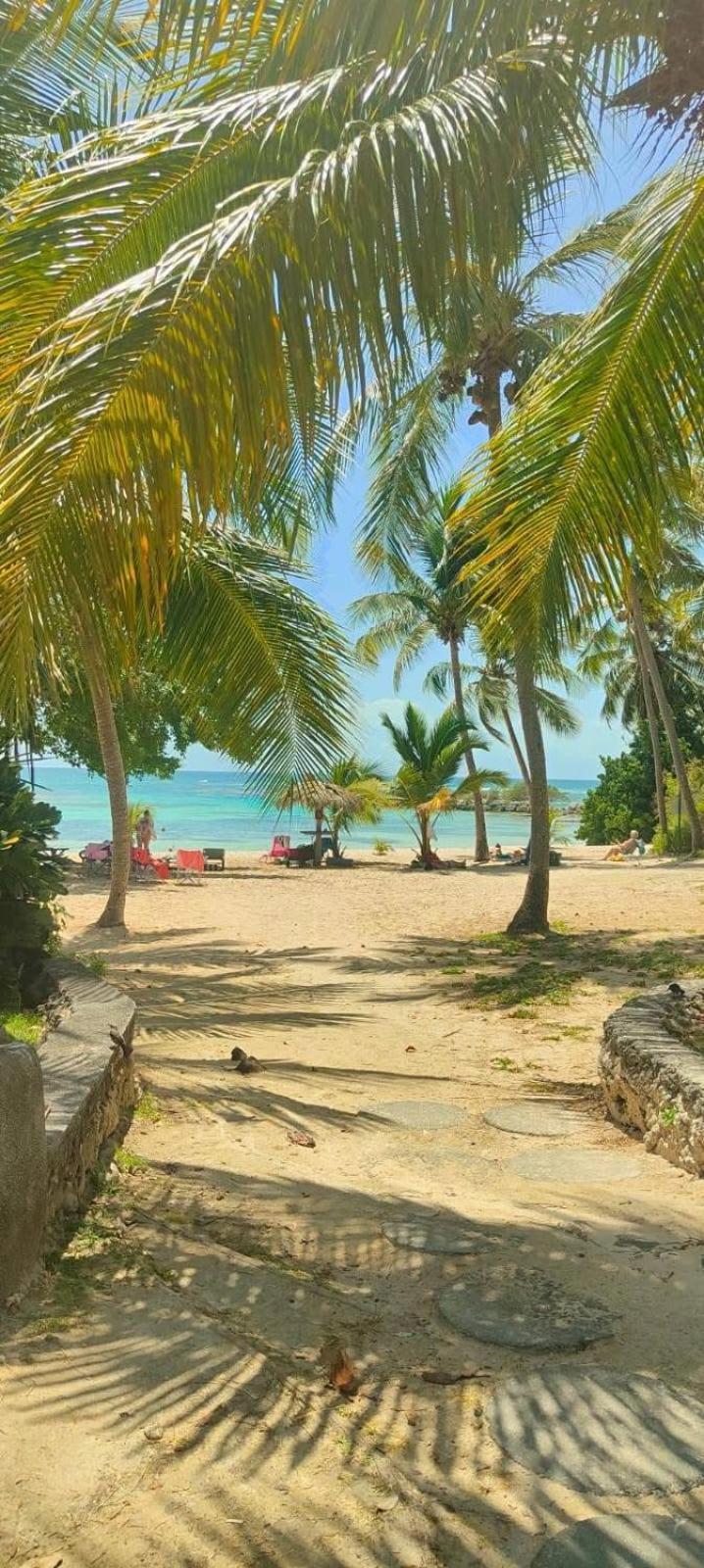Studio Mojito Vue Mer,Piscine Avec Cuve Eau Et Acces Plage Et Piscine Anse Des Rochers Saint-Francois  Exteriör bild